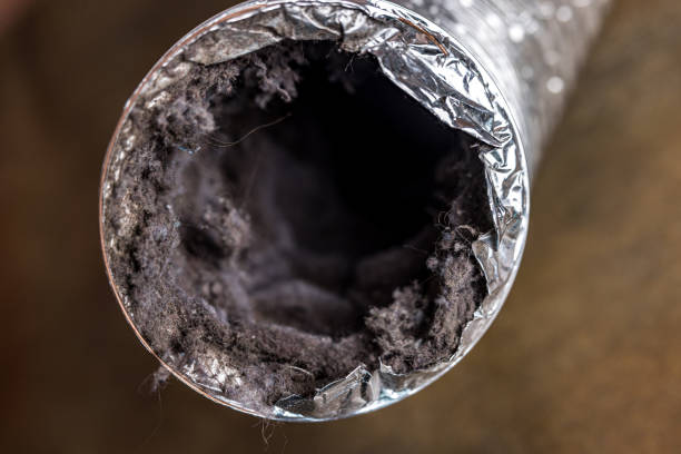 Best Home Air Vent Cleaning  in Coatesville, PA